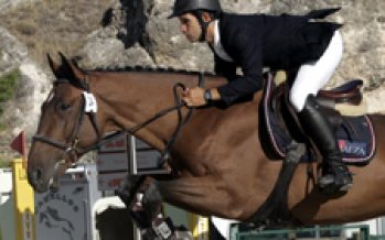 Tercer concurso de caballos jóvenes en Segovia