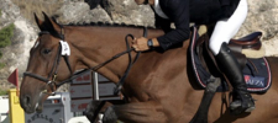 Tercer concurso de caballos jóvenes en Segovia