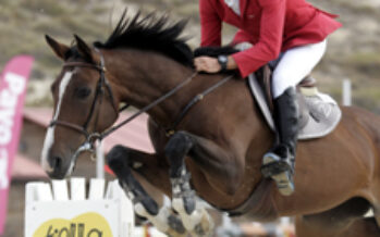 Cuarto concurso de caballos jóvenes en Segovia
