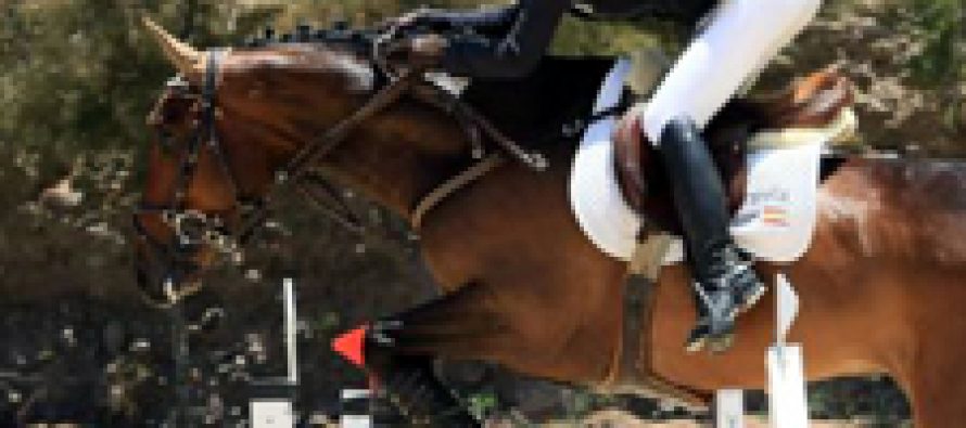 Los caballos de Yeguada Westfalia ganaron todas las grandes del CSN* Fañabé