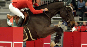 “Andi d’Emiralia” triunfa en Madrid Horse Week