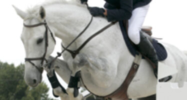 Dos caballos de Yeguada Campocerrado destacaron en el CSN2* RSHECC