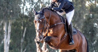 Buena jornada para los caballos de Yeguada Del Maset