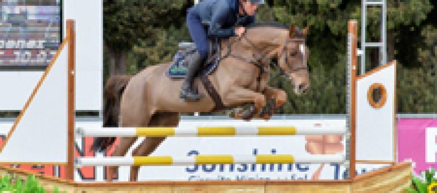CDE con cinco ceros en las pruebas de caballos jóvenes de Montenmedio