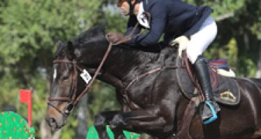 Mejores CDE en las pruebas de caballos jóvenes del  Circuito Hípico del Sol