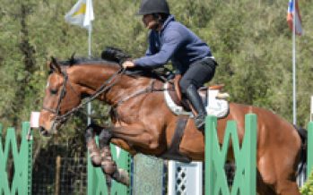 Circuito Hípico del Sol: Nueve CDE disputan las finales de caballos jóvenes