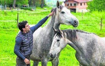 Reportaje en El Comercio sobre la cría de caballos CDE en Asturias