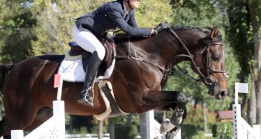 El Maset destaca en las pruebas de caballos jóvenes de la Cerdanya