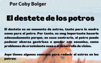 El destete de los potros, por Coby Bolger